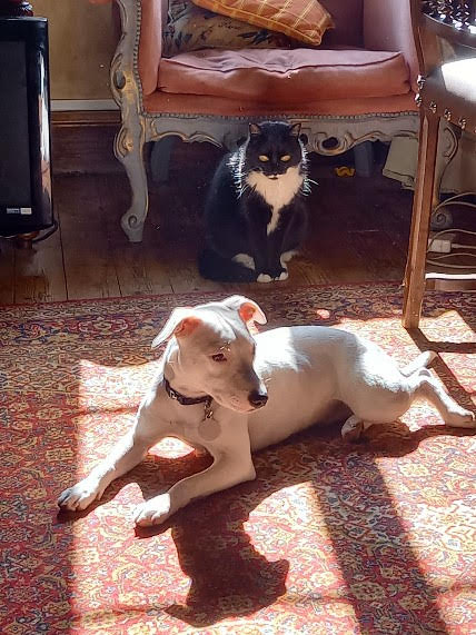 Balthazar et celeste grainterie Buxy